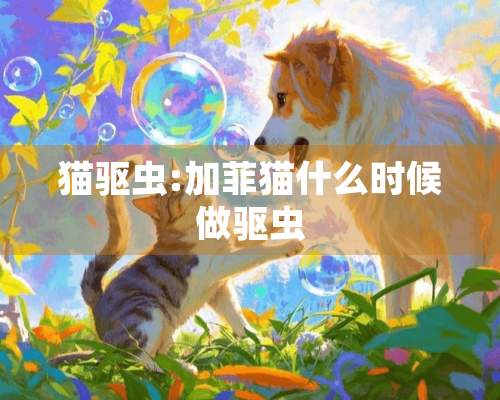 猫驱虫:加菲猫什么时候做驱虫