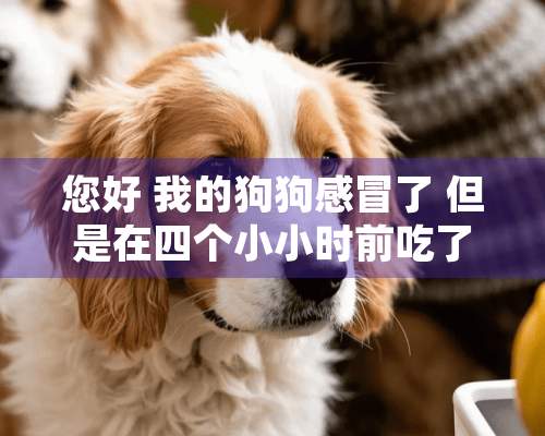 您好 我的狗狗感冒了 但是在四个小小时前吃了驱虫药现在吃还可以吃感冒药吗？