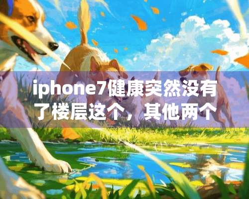 iphone7健康突然没有了楼层这个，其他两个还有，怎么回事，要怎么设置