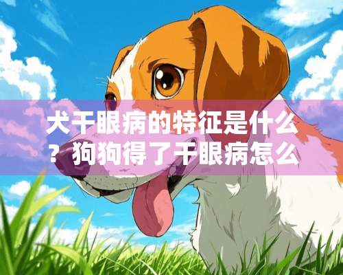 犬干眼病的特征是什么？狗狗得了干眼病怎么办？