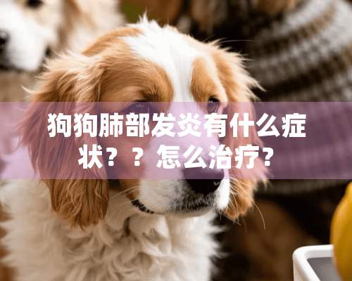 狗狗肺部发炎有什么症状？？怎么治疗？