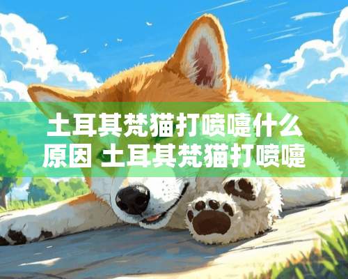 土耳其梵猫打喷嚏什么原因 土耳其梵猫打喷嚏原因