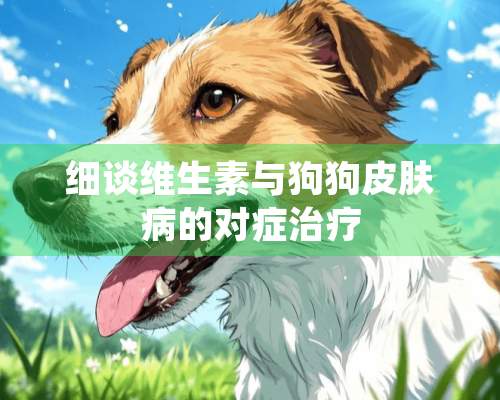 细谈维生素与狗狗皮肤病的对症治疗