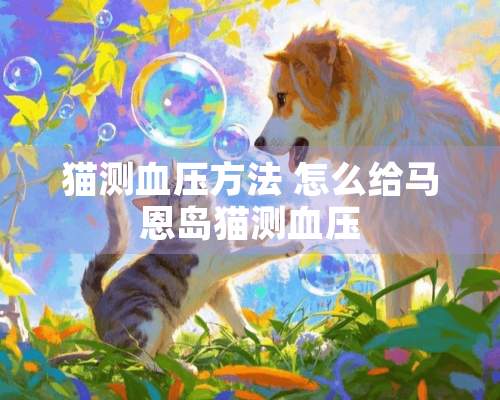 猫测血压方法 怎么给马恩岛猫测血压