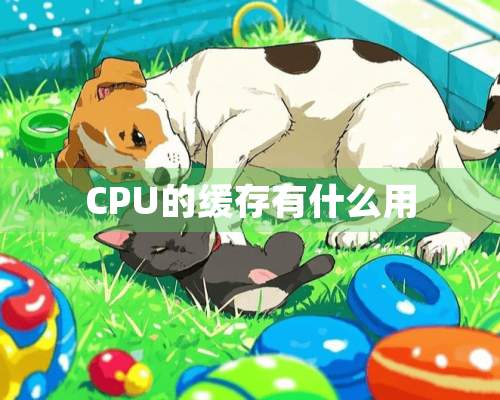 CPU的缓存有什么用