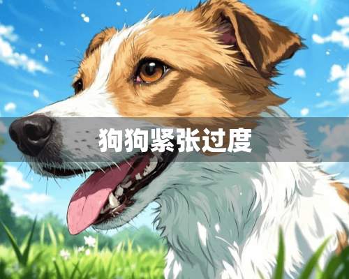 狗狗紧张过度