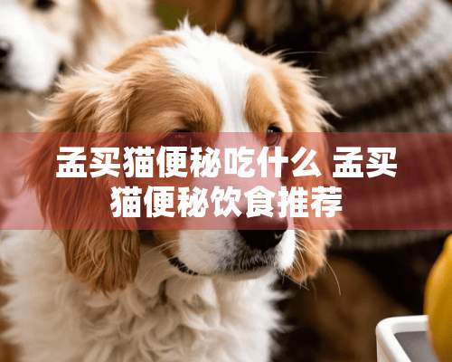 孟买猫便秘吃什么 孟买猫便秘饮食推荐