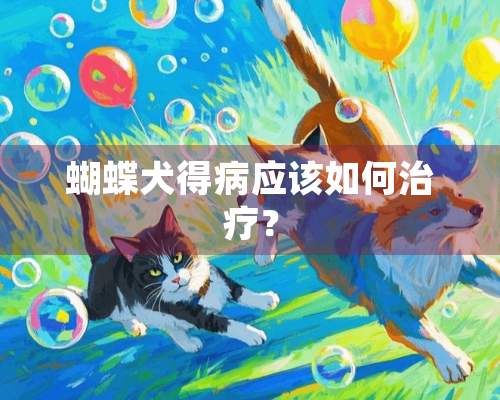 蝴蝶犬得病应该如何治疗？