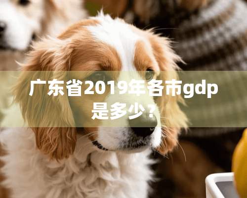 广东省2019年各市gdp是多少？