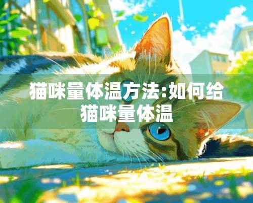 猫咪量体温方法:如何给猫咪量体温