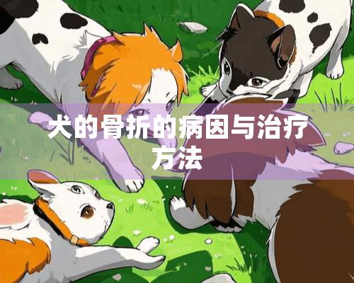 犬的骨折的病因与治疗方法