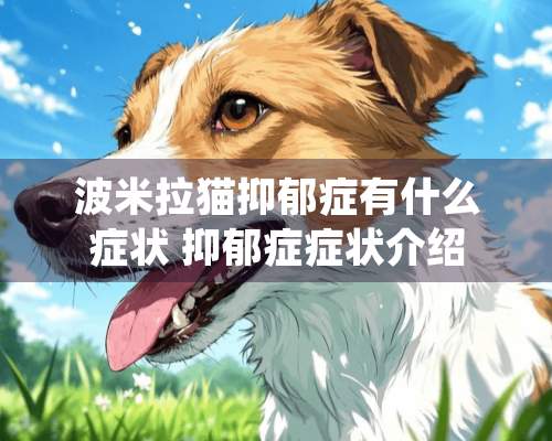 波米拉猫抑郁症有什么症状 抑郁症症状介绍