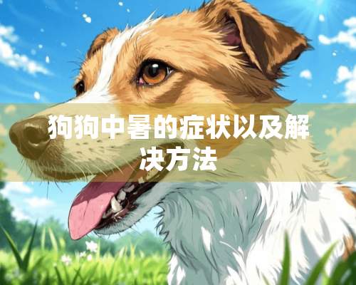 狗狗中暑的症状以及解决方法