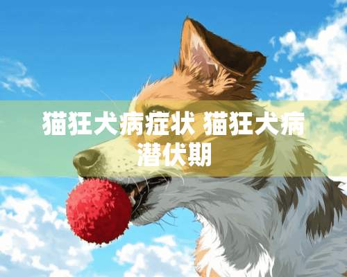 猫狂犬病症状 猫狂犬病潜伏期