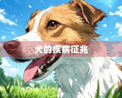 犬的疾病征兆