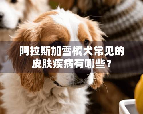 阿拉斯加雪橇犬常见的皮肤疾病有哪些？