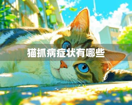 猫抓病症状有哪些