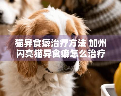 猫异食癖治疗方法 加州闪亮猫异食癖怎么治疗