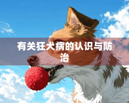 有关狂犬病的认识与防治