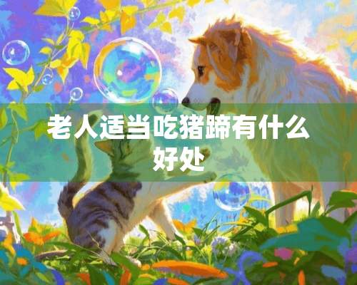 老人适当吃猪蹄有什么好处