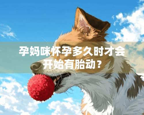 孕妈咪怀孕多久时才会开始有胎动？