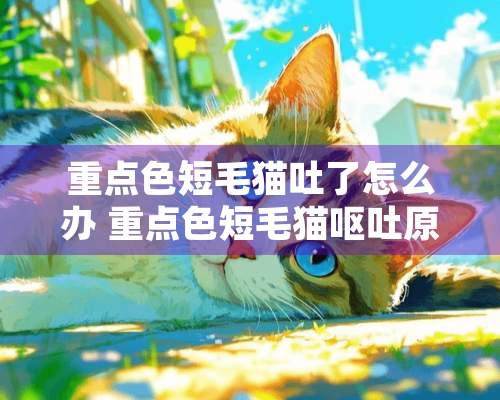 重**短毛猫吐了怎么办 重**短毛猫呕吐原因介绍