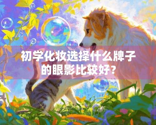 初学化妆选择什么牌子的眼影比较好？