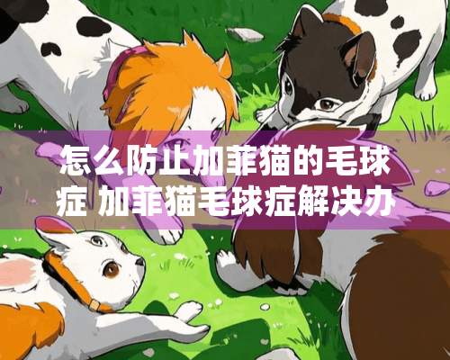 怎么防止加菲猫的毛球症 加菲猫毛球症解决办法