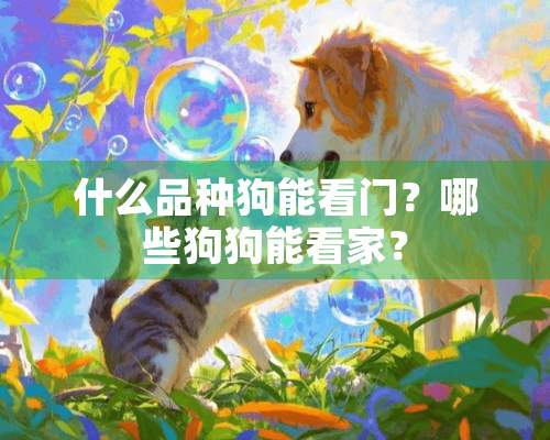 什么品种狗能看门？哪些狗狗能看家？