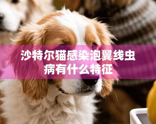 沙特尔猫感染泡翼线虫病有什么特征