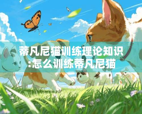 蒂凡尼猫训练理论知识:怎么训练蒂凡尼猫