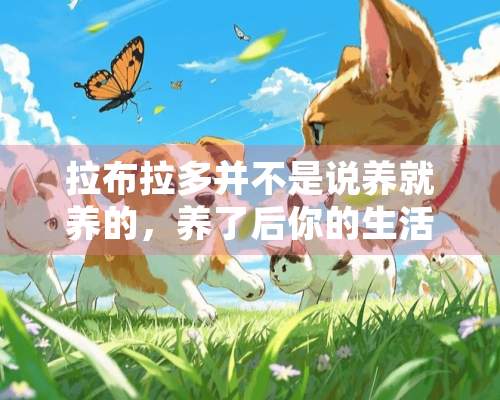 拉布拉多并不是说养就养的，养了后你的生活会出现这五个“痛”