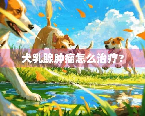 犬*腺肿瘤怎么治疗？