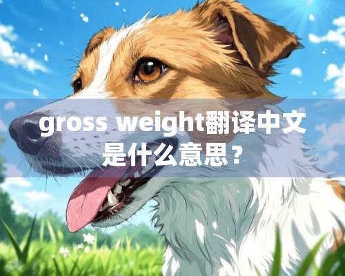 gross weight翻译中文是什么意思？