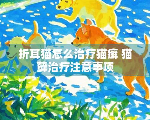 折耳猫怎么治疗猫癣 猫藓治疗注意事项