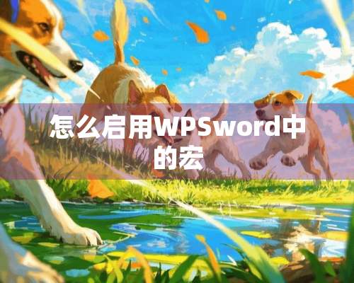 怎么启用WPSword中的宏