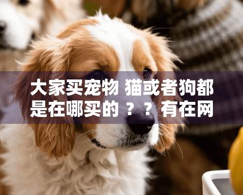 大家买宠物 猫或者狗都是在哪买的 ？？有在网上买的吗