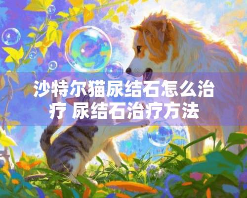 沙特尔猫尿结石怎么治疗 尿结石治疗方法