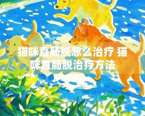 猫咪直肠脱怎么治疗 猫咪直肠脱治疗方法