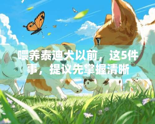 喂养泰迪犬以前，这5件事，提议先掌握清晰