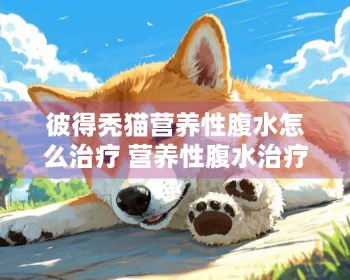 彼得秃猫营养性腹水怎么治疗 营养性腹水治疗方法