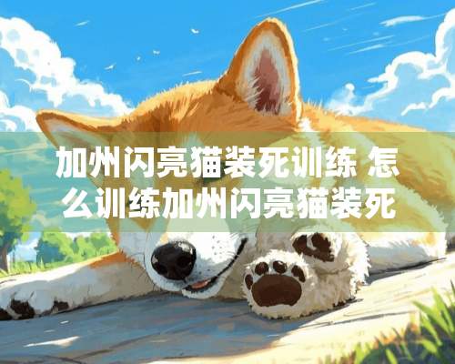 加州闪亮猫装死训练 怎么训练加州闪亮猫装死