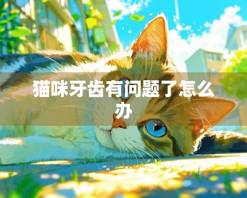 猫咪牙齿有问题了怎么办