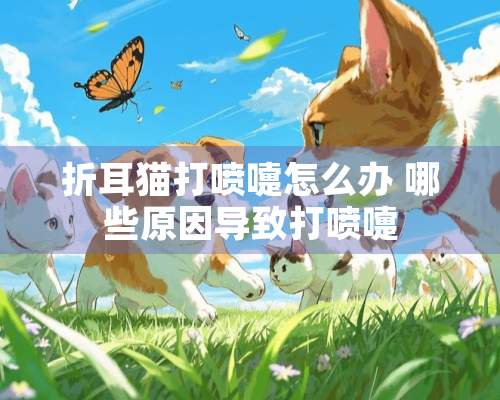 折耳猫打喷嚏怎么办 哪些原因导致打喷嚏