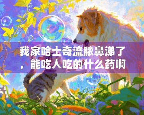 我家哈士奇流脓鼻涕了，能吃人吃的什么药啊