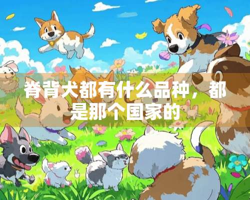 脊背犬都有什么品种，都是那个国家的