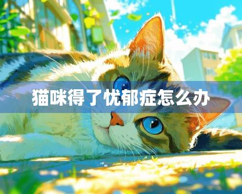 猫咪得了忧郁症怎么办