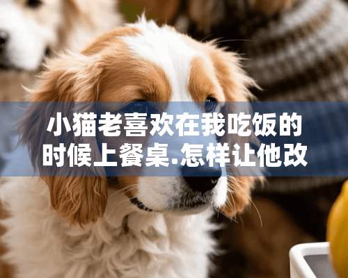 小猫老喜欢在我吃饭的时候上餐桌.怎样让他改掉这