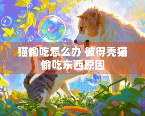 猫偷吃怎么办 彼得秃猫偷吃东西原因