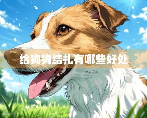 给狗狗结扎有哪些好处